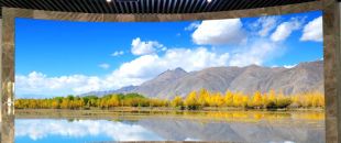 “海外客戶最關(guān)心的LED屏參數(shù):不是分辨率，而是這個(gè)..